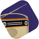 ТЕЛЕРАДІОКОМПАНІЇ, ПРОВАЙДЕРИ